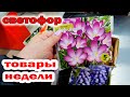 Магазин СВЕТОФОР.Шикарные Новинки.Вот Это Завоз.Обзор МАРТ 2024