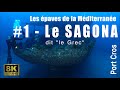 8k wreck  1 le sagona dit le grec  les paves de le mditerrane