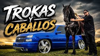 Took the trucks with the horses 