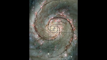 Fibonacci Sequence - Documentary