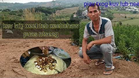 kev laiv dab xeeb teb xeeb chaw es  puas ntseeg