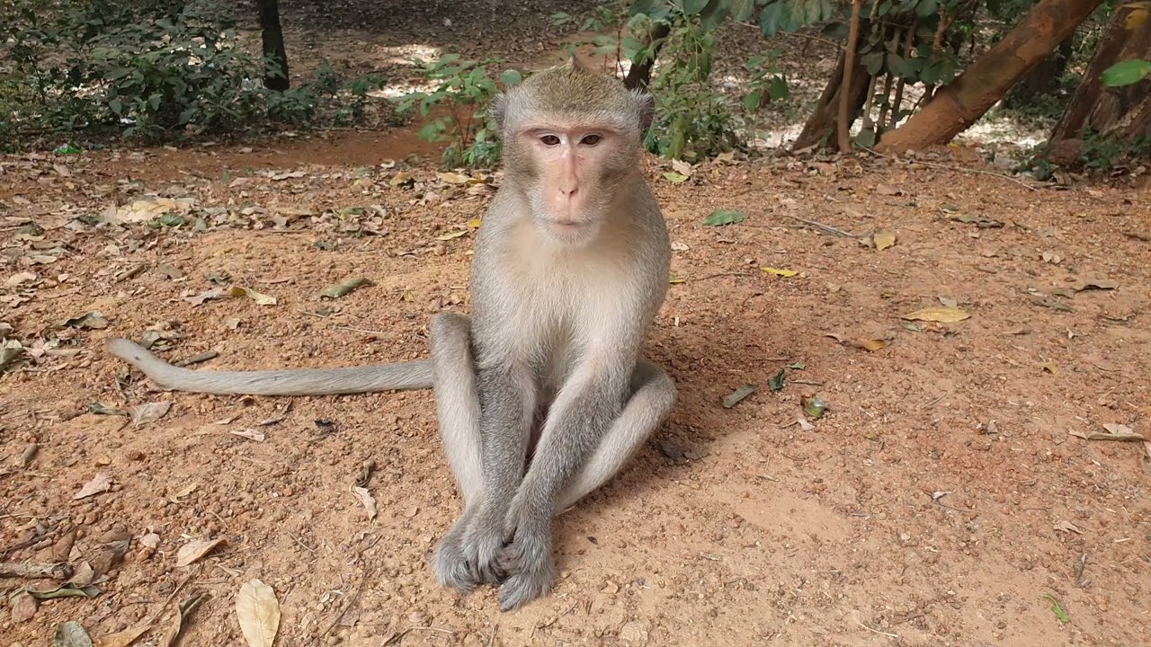 Ali Palou is waiting to see the delicious food of daily life before going to bed.