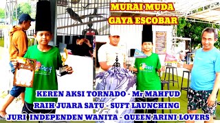 Full Dorasi MURAI TORNADO - Mr MAHFUD RAIH JUARA SATU // SOFT LAUNCHING QUEEN ARINI LOVERS. 17/5/26