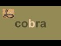 Английский язык: 1 слово за 1 минуту / English: 1 word for 1 minute (cobra)