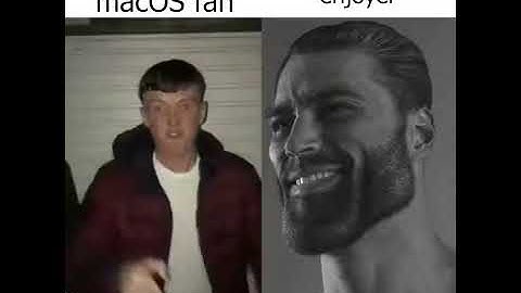 Average MacOS fan vs Windows Enjoyer