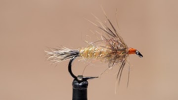 Red Fox Squirrel Nymph