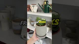 Your next plant? Just a few clicks away. 🌱