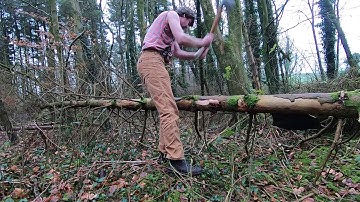 Fundamental Axe Skills Part 2: Limbing / Debranching