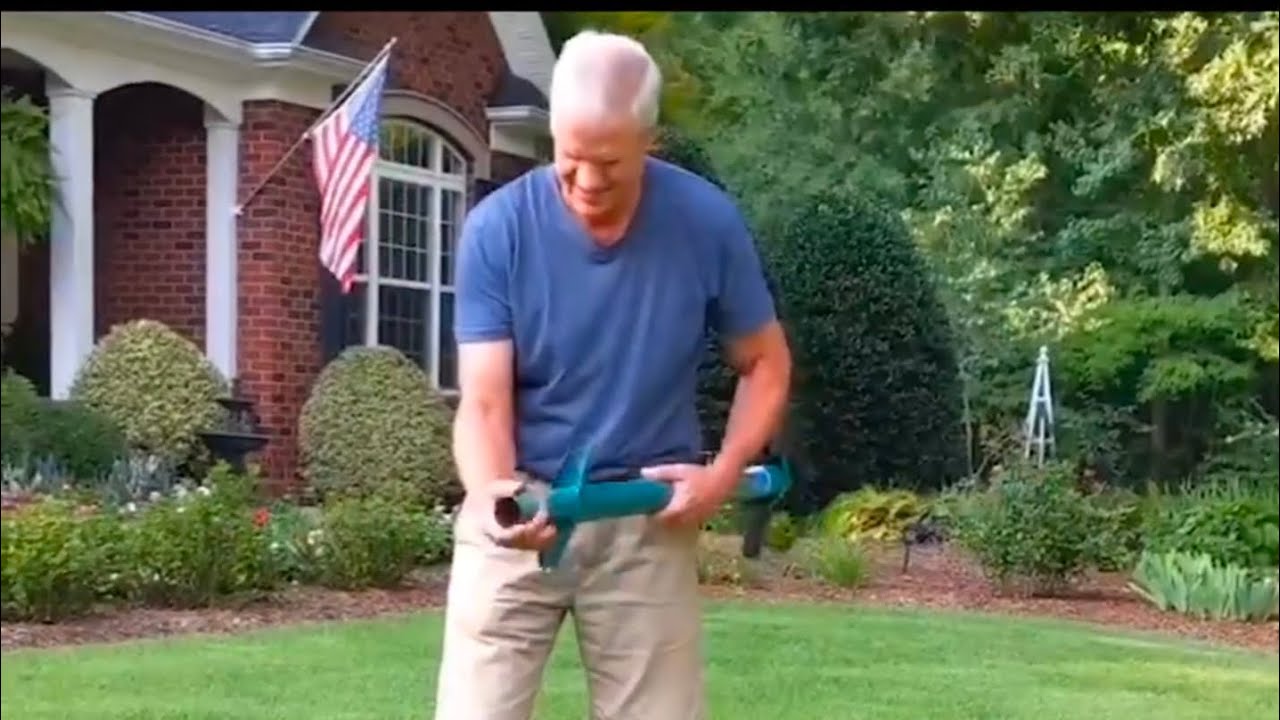 Before and After Zoysia Lawn Repair YouTube