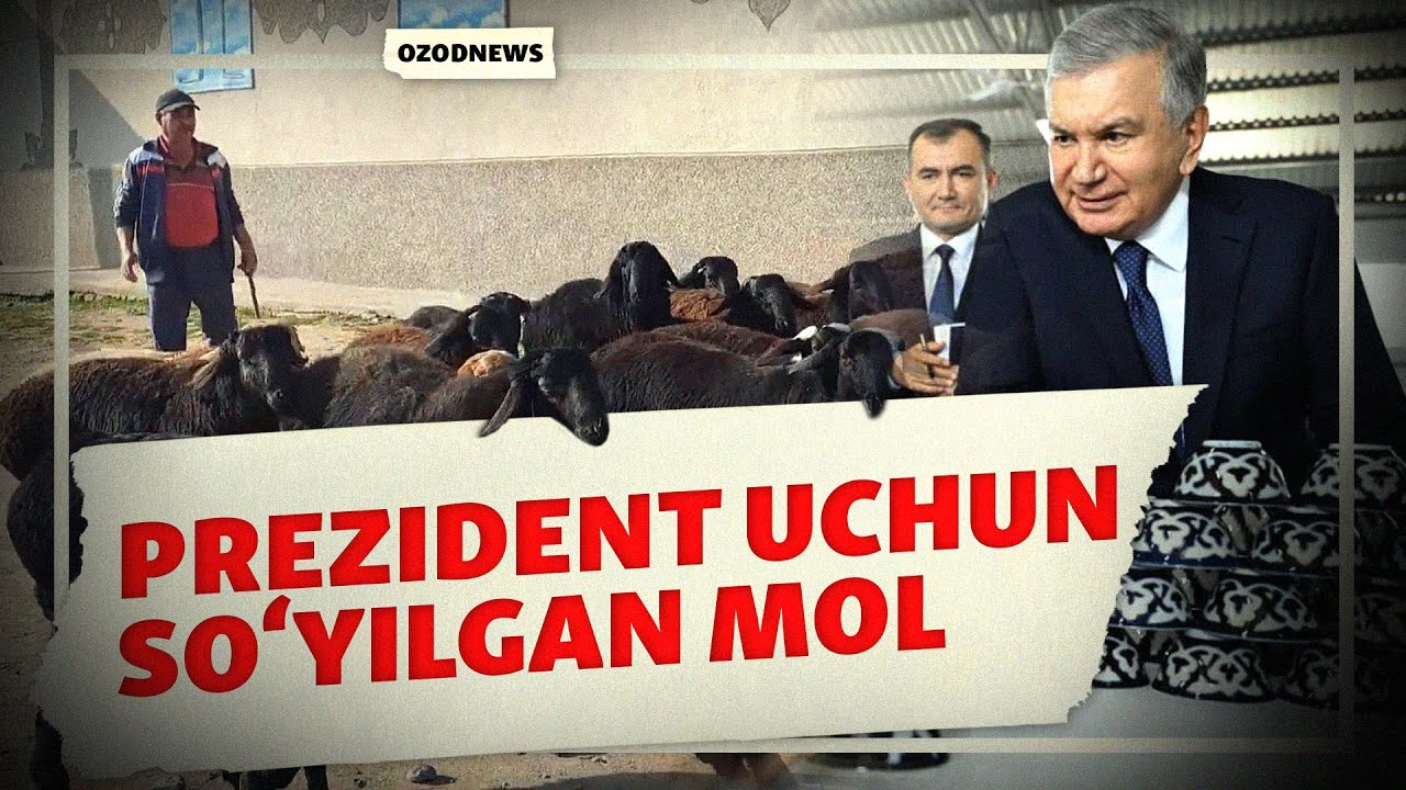 OZODNEWS: Navoiyni zaharli tutun qopladi | Ukrainaga bosqin: 1248-kun
