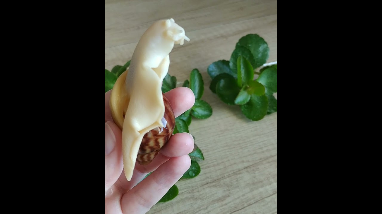 АРХАХАТИНА СП БЕНИН. 2 МЕСЯЦА