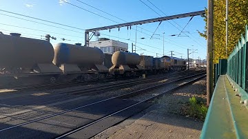 GBRf 66710 leads with a RHTT set with 66729"Derby County" on the rear pass cremorne lane on 17/11/24