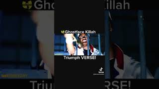 Ghostface Killah (Triumph) VERSE! #90shiphop #shorts #wutangclan #oldschoolhiphop