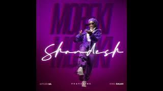 Shandesh -  Moreki (Feat. Hitler SA & King Salah) Visualizer