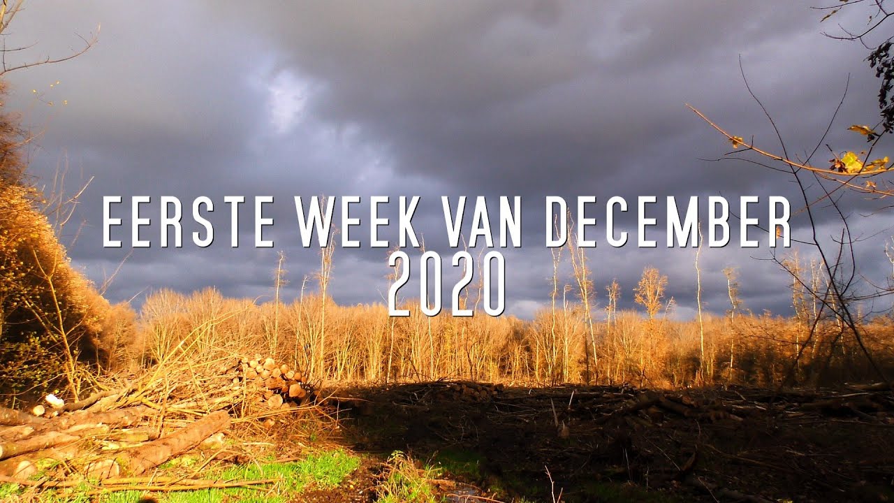 Eerste week van december 2020 (first week of december 2020) - YouTube