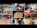 ثمن الحولي تحضيرات عيد الاضحى شكون شكار العروس دخلت عليه مباركة مسعودة 