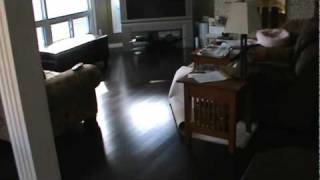 Mint Automatic Floor Cleaner Robot on Hardwood Kitchen Floor.mpg