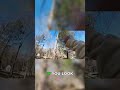 The Dead Tree Situation We're Fixing It