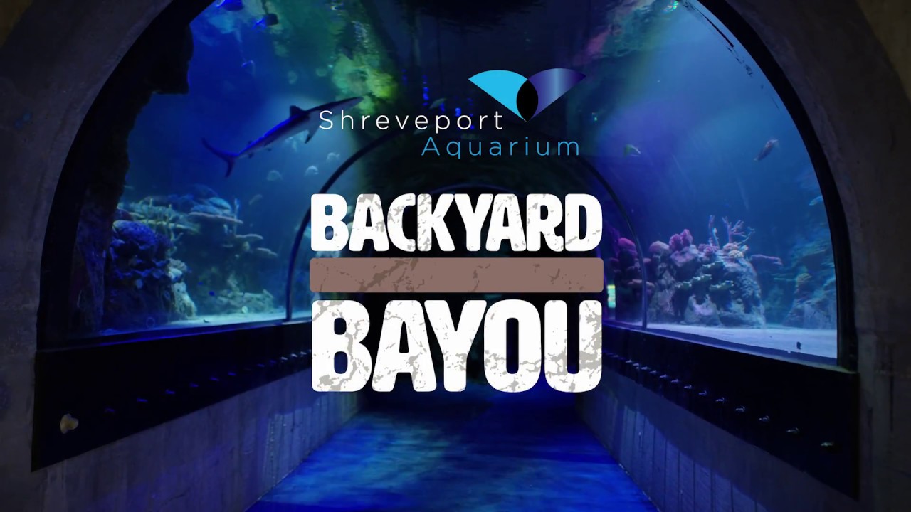Backyard Bayou Shreveport Aquarium YouTube
