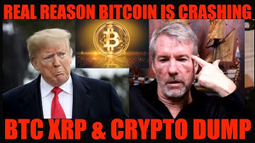 REAL REASON BITCOIN IS CRASHING! BTC XRP & CRYPTO DUMP!