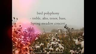 Wilfried Hanrath Spring Naviarhaiku 495