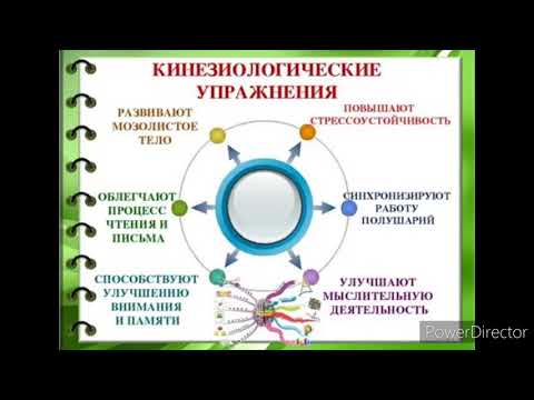Кинезиология: упражнения для развития памяти и внимания.