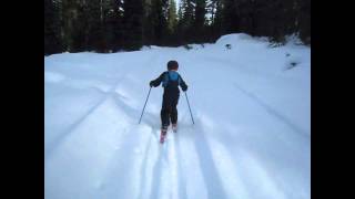 Cross Country Skiing 2010