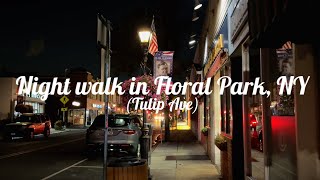 New York 2025 Night walk in Floral Park NY Tulip Ave 4k placebrowser
