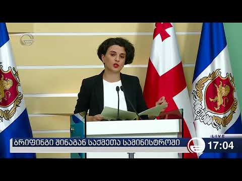 შსს-ს ბრიფინგი - სუბელიანი დააკავეს