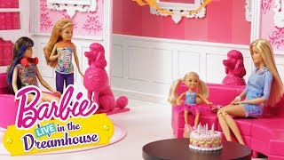 Happy Birthday Chelsea | Barbie LIVE! In the Dreamhouse | @Barbie