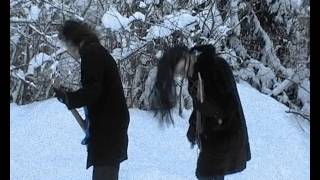 Download Lagu P.O.R.T.R.A.I.T - Hevibiisi MP3