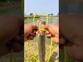 Strong & Unique Rope Knot Method 👍 #knowledge #camping #usa #shorts