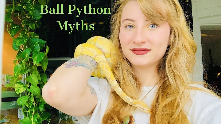 7 Ball Python Myths!!!