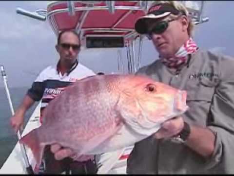 Addictive Fishing: Texas Red - SNAPPER FISHING