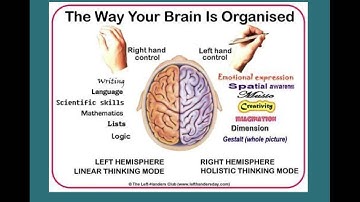 art concepts: right brain/left brain