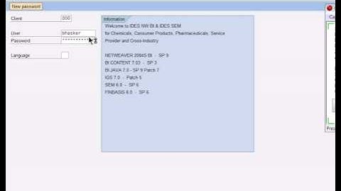 How to login and logout from SAP System
