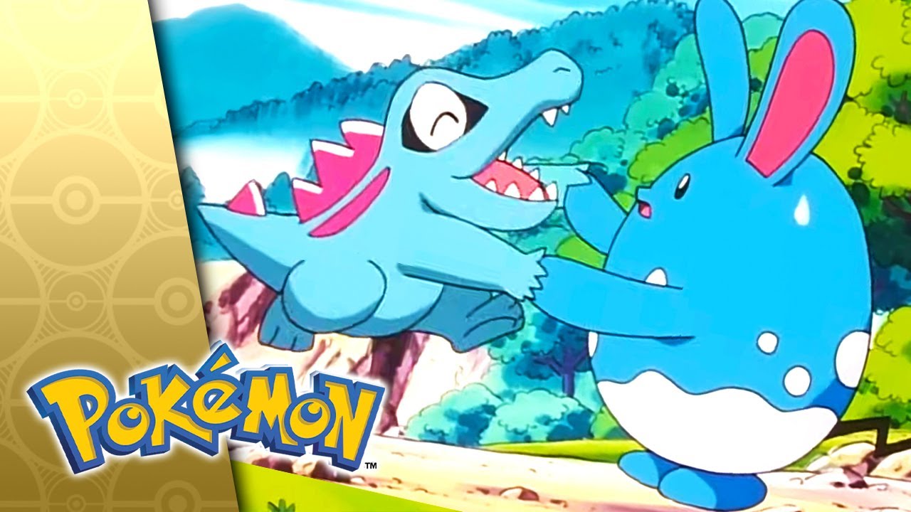 Love, Totodile Style! | POKÉMON FULL EPISODE 37 | Season 3