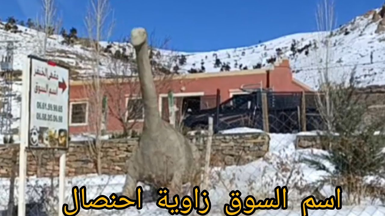 جمال جبلي صامت ❄️ منطقةاسم السوق – زاوية أحنصال