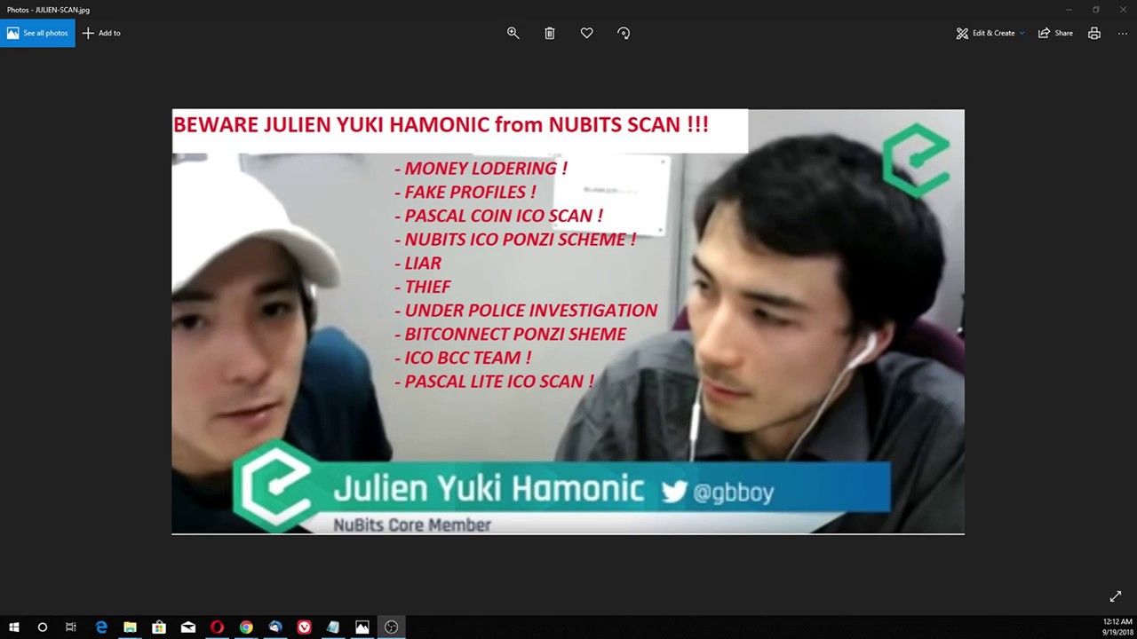 PASCAL HAMONIC and JULIEN YUKI HAMONIC SCAM ICO NUBITS UNSBT PONZI SCHEME