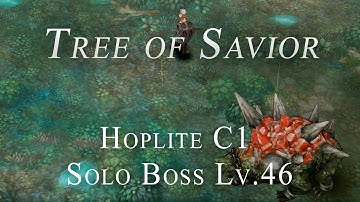 Tree of Savior: Hoplite C1 Solo Boss Moyabruka (Lv.46)