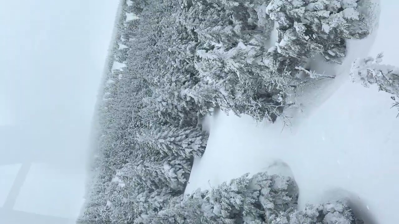 2024/2/29 山形 藏王溫泉