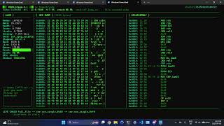 RQ4D-Stega-2.1 Demo for Google