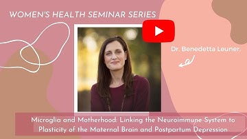 Microglia and Motherhood: Linking the Neuroimmune System to Plasticity of the Brain and Depression