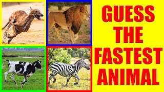 Which is the Fastest Animal? | Guess the Faster Animal Quiz screenshot 2