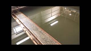 Lackeby Scum Skimmer Operation