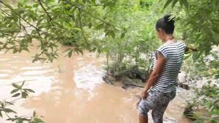 Cachoeira Do Morcego