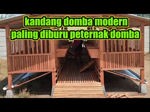 Kandang Kambing Paling Bagus