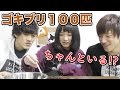 【恐怖】超ビビリな後輩ちゃんとゴキブリ100匹を数える