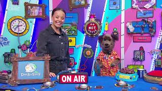 CBBC - Duck and Frog premiere (February 16, 2026 @ 4:00p)