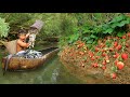 Survival in the forest  fishing in the river found strawberries eat delicious strawberries
